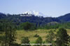 Mt Shasta View